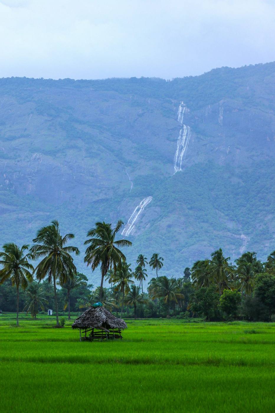 Coastal cliff and sea view in Kerala